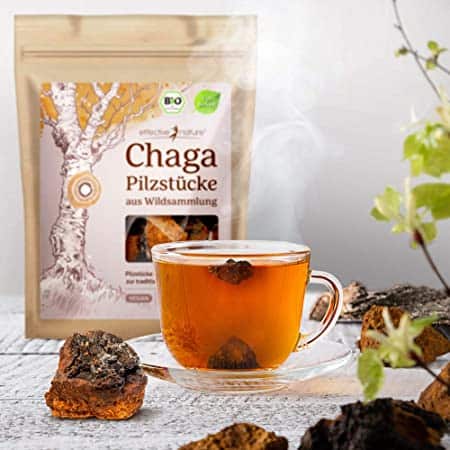 chaga tee